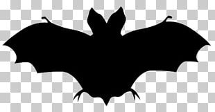 Vampire Bat Drawing PNG, Clipart, Action Figure, Animal, Animals, Anime ...