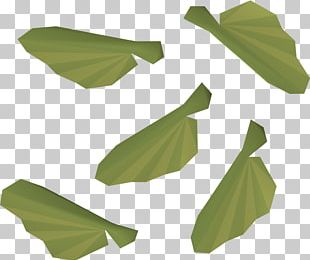 Old School RuneScape Sugar Maple Acer Ginnala Japanese Maple PNG