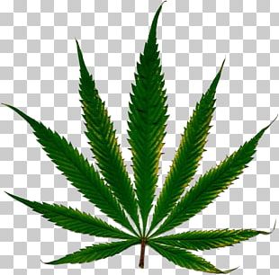 Cannabis Sativa Drug Medical Cannabis Smoking Png, Clipart, Alternative 