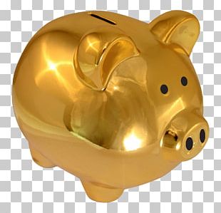 Piggy Bank Saving PNG