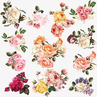 Hand-painted Watercolor Flower Design PNG, Clipart, Beautiful ...