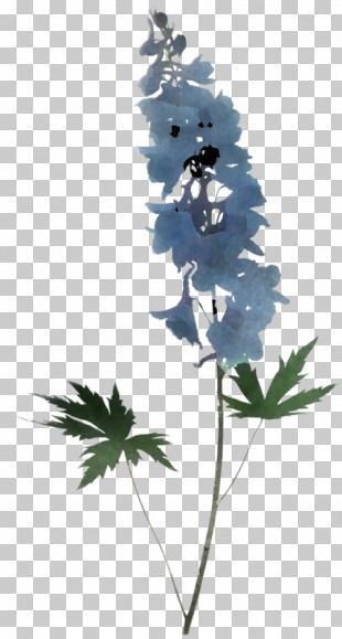 Flower Plant Leaf Delphinium Tree PNG