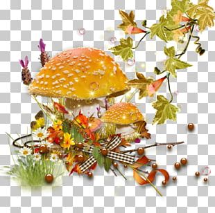 Desktop PNG