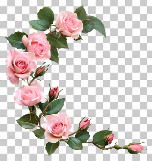 Rose Corner - Pink Roses Bouquet PNG