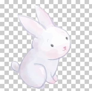 Domestic Rabbit Easter Bunny European Rabbit PNG, Clipart, 2nd Birthday ...