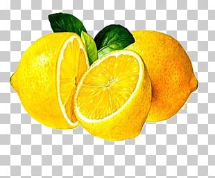 Lemon Icon Orange PNG, Clipart, Citric Acid, Citron, Citrus, Citrus ...