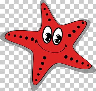 Drawing Sea Starfish Cartoon PNG, Clipart, Animal, Animals, Aquarium ...