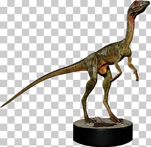 Tyrannosaurus Velociraptor Dinosaur Jurassic Park PNG, Clipart, Art ...