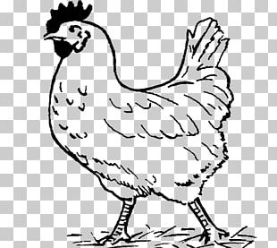 Chicken Hen And Chicks PNG, Clipart, Artwork, Battery Cage, Beak, Bird ...