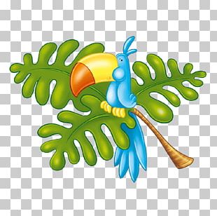 Tree Fruit Animal PNG