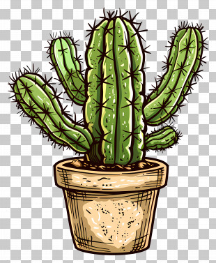 Cactus - Vibrant Green Cactus In Decorative Pot PNG