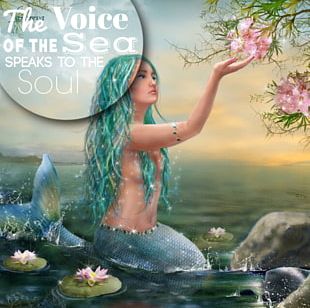 Lorelei Mermaid Siren Legendary Creature Mythology PNG