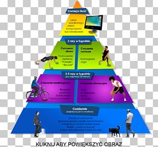 Physical Activity Health Motion Diabetes Mellitus Overweight PNG