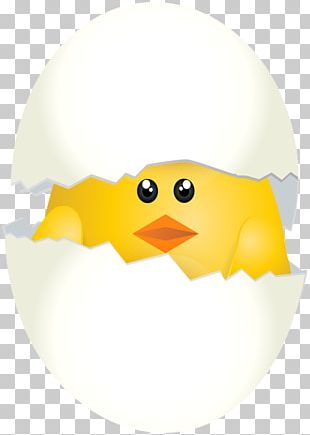 Chicken Portable Network Graphics Desktop PNG