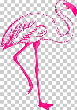 Flamingo Free PNG