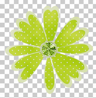 Flower Petal Plant Science Biology PNG