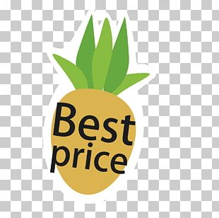 Pineapple Fruit Vecteur Euclidean PNG