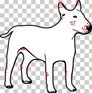 Dogo Argentino Great Dane Puppy Kong Company PNG
