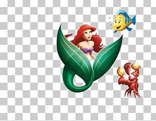 Ariel Seashell Mermaid PNG, Clipart, Animals, Animation, Ariel, Autocad  Dxf, Clip Art Free PNG Download