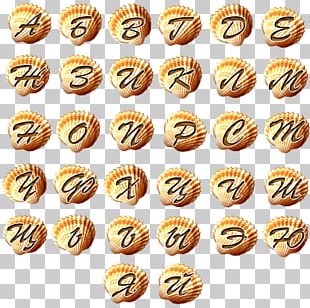 Illustration Computer Icons Photograph PNG