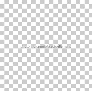 Los Angeles New York City Retention Schedule Business Person PNG
