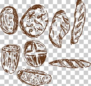 Ingredient Food Drawing PNG