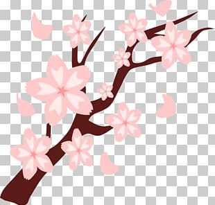 Pony Pinkie Pie Cutie Mark Crusaders Fluttershy Blossom PNG