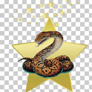 Snake Vipers Drawing Anamorphosis Sketch PNG
