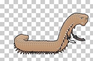 Animal Reptile Food PNG