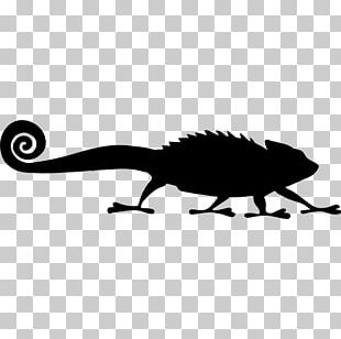 Chameleons Reptile Computer Icons PNG