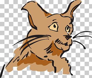Dog Cat Graphics Whiskers PNG