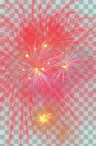 Petal Sky Close-up PNG