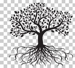 Drawing Tree Root PNG, Clipart, Art, Artwork, Branch, Drawing ...