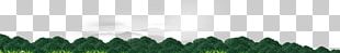 Grasses Green Angle Font PNG