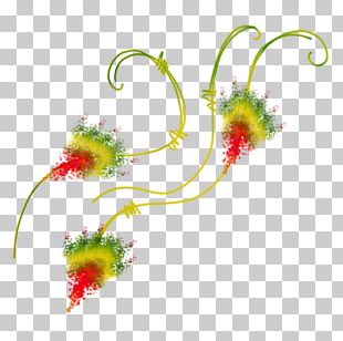 Graphic Design PNG