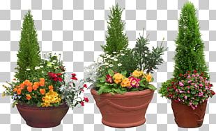 Template Natal Luz PNG