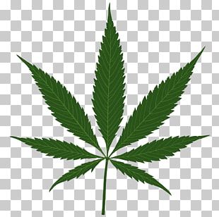 Cannabis Sativa Marijuana Stock Photography PNG, Clipart, Amsterdam ...