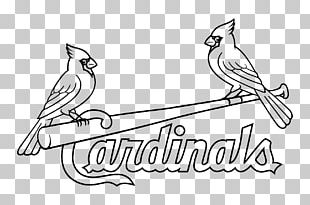 Logos and uniforms of the St. Louis Cardinals Fredbird Baseball MLB,  Cardial transparent background PNG clipart