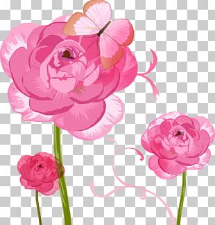 Pink Art Butterfly Color Red PNG