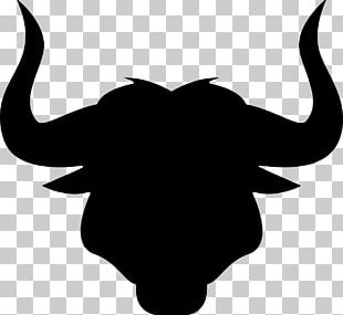 Angus Cattle Bull Texas Longhorn PNG