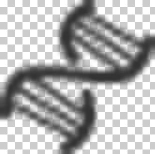 Line Technology Angle Font PNG