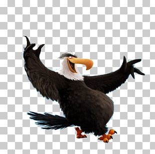 Mighty Eagle Png Images Mighty Eagle Clipart Free Download