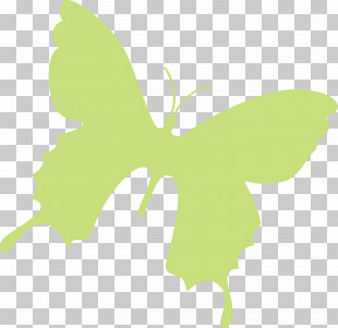 Butterfly Background Flying Butterfly PNG