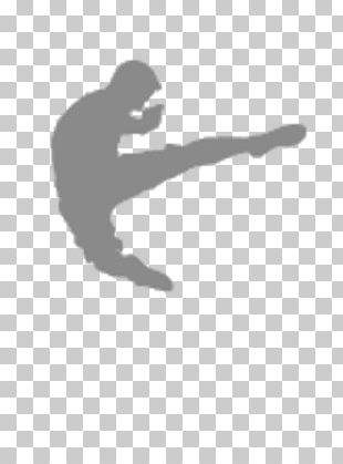 Combat Sport Boxing Martial Arts PNG