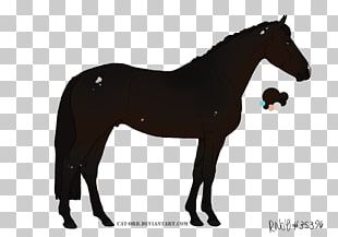 German Shorthaired Pointer Andalusian Horse Knabstrupper Bull Terrier PNG