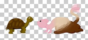 Cartoon Carnivora Elephant Snout PNG