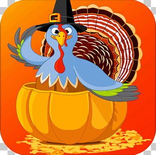 Turkey Macy's Thanksgiving Day Parade PNG, Clipart, Beak, Bird, Cartoon ...