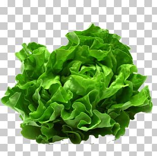 Caesar Salad Food Leaf Vegetable Kapsalon PNG