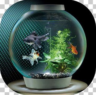 Siamese Fighting Fish Veiltail Tropical Fish Aquarium PNG, Clipart ...