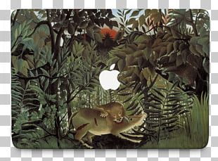 The Hungry Lion Throws Itself On The Antelope The Dream The Sleeping Gypsy Les Demoiselles D'Avignon Painting PNG
